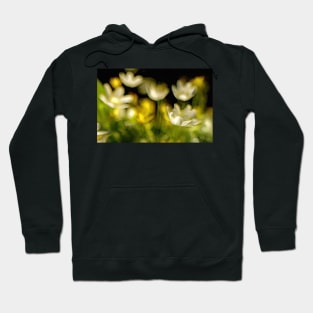 A CELENDINE IMPRESSION Hoodie